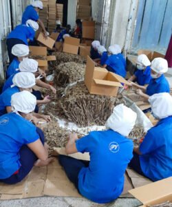 Dry Fish