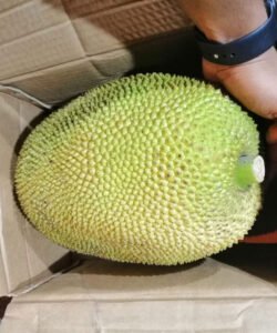 Jackfruit
