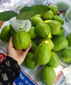 Payara