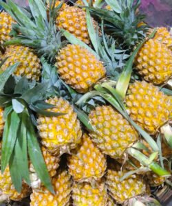 Pineapple